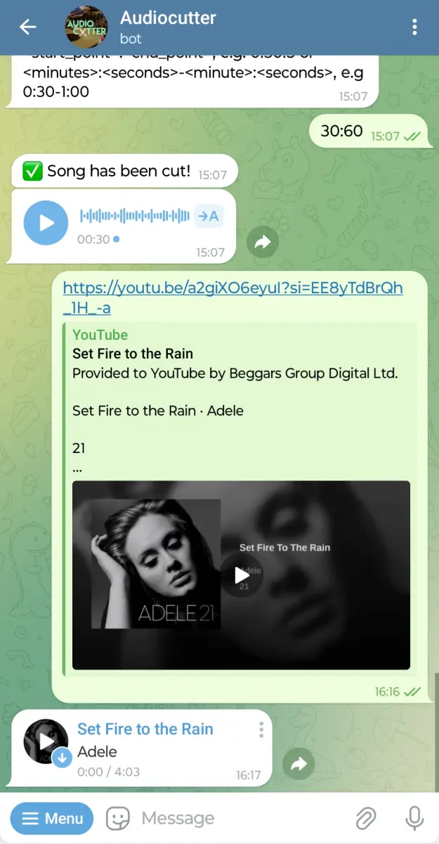 Audiocutter preview 2