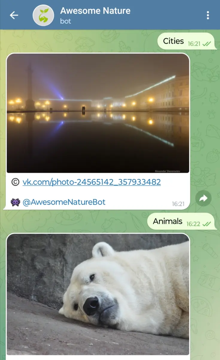 Awesome Nature preview 2