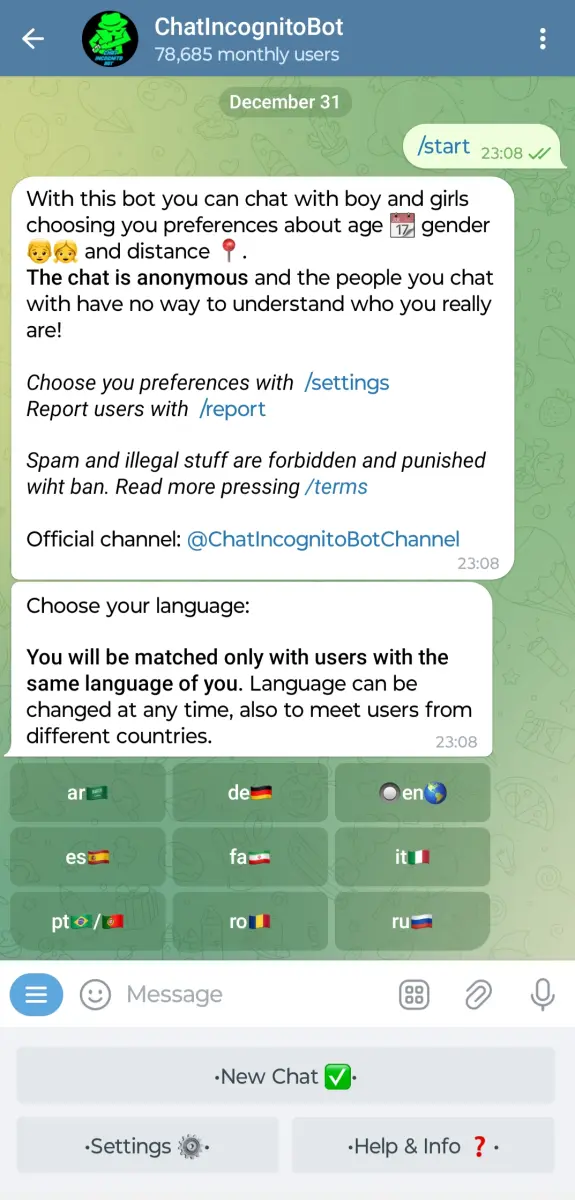 ChatIncognitoBot preview 2