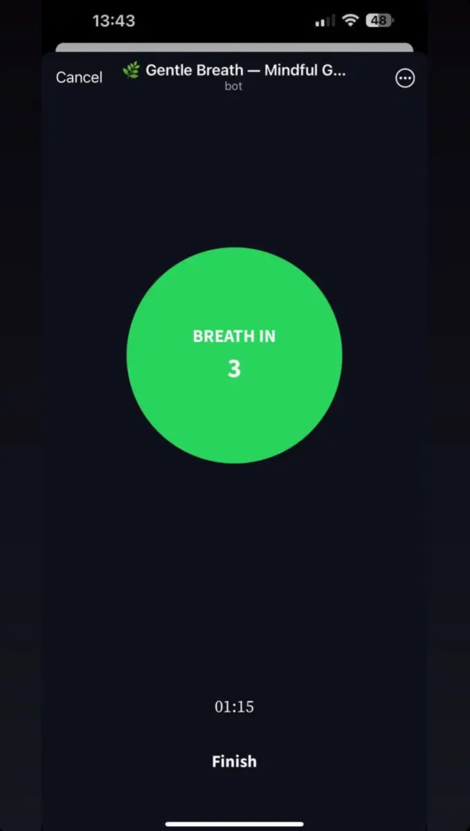 🌿 Gentle Breath — Mindful Guidance preview 3