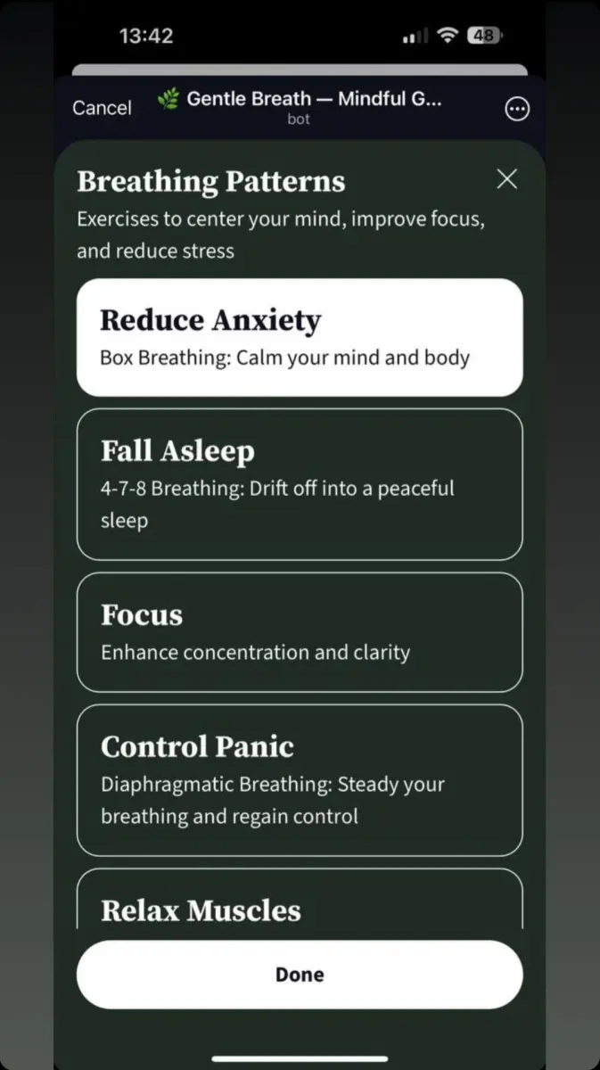 🌿 Gentle Breath — Mindful Guidance preview 4
