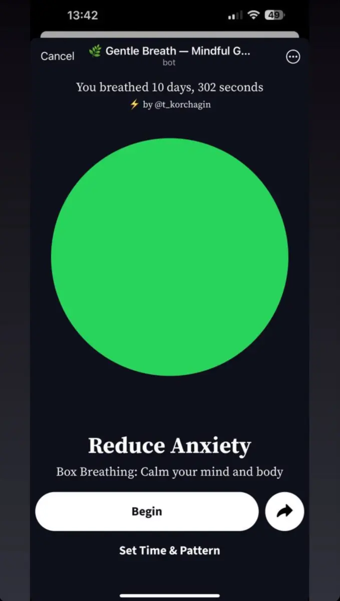 🌿 Gentle Breath — Mindful Guidance preview 5