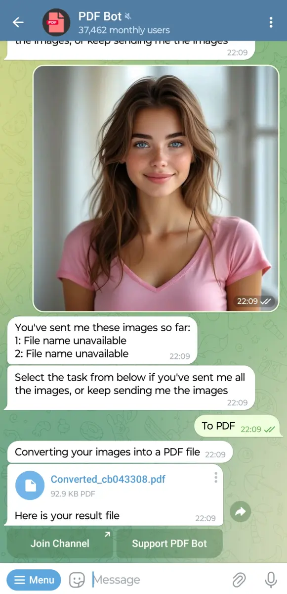 PDF Bot preview 3