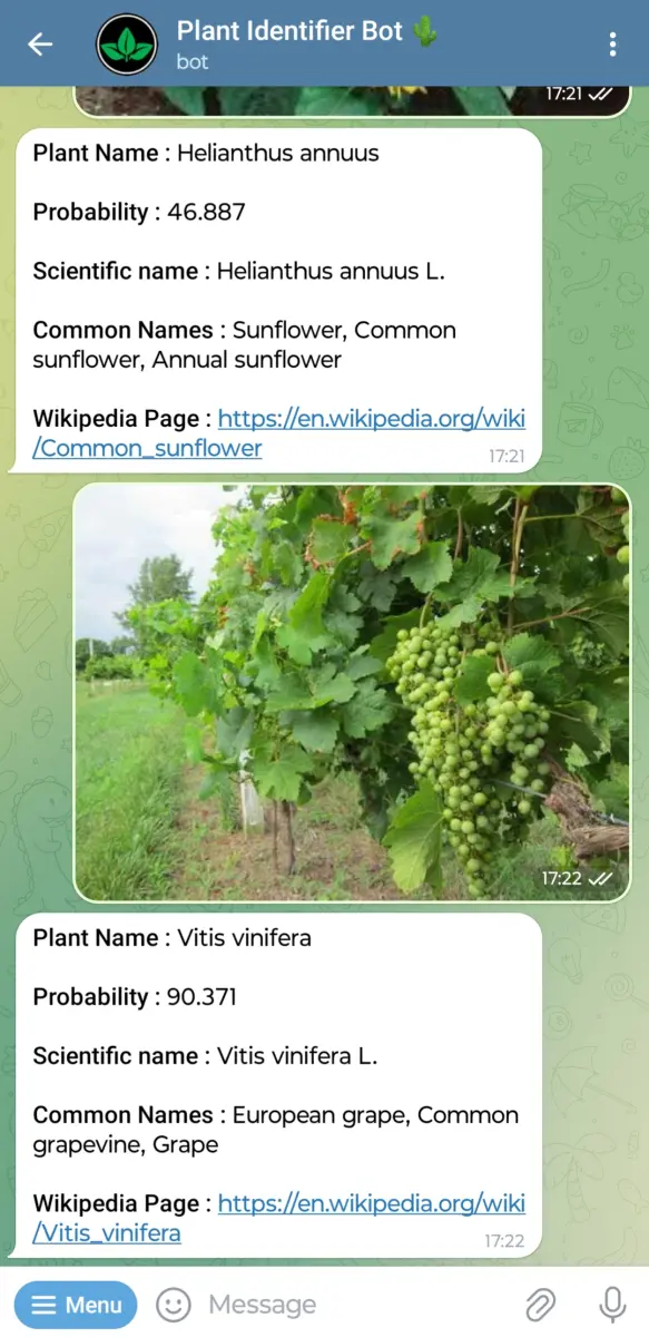 Plant Identifier Bot 🌵 preview 2