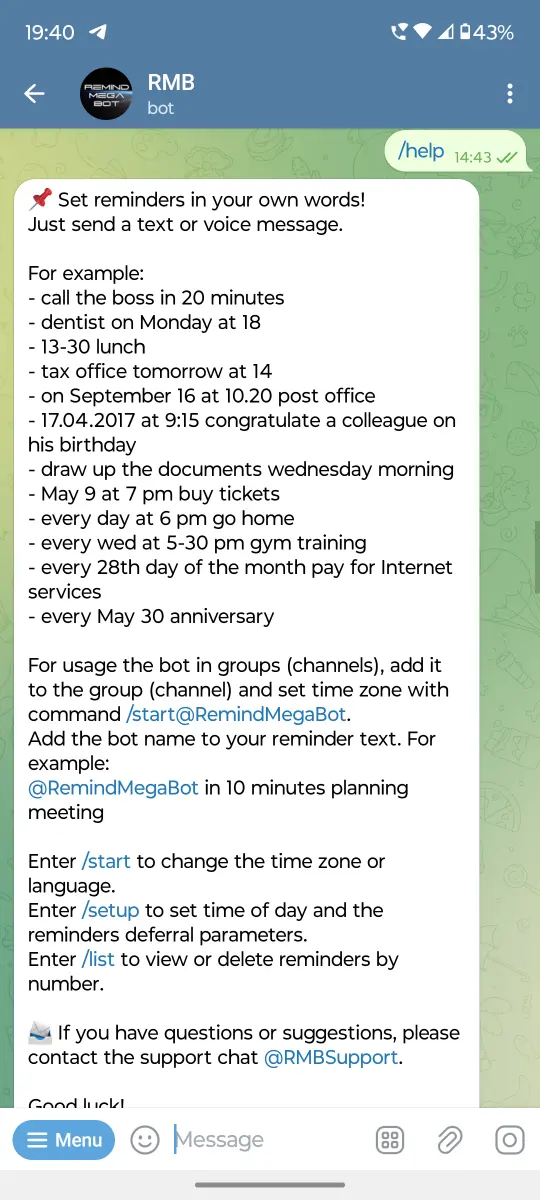 Remind Mega Bot preview 2