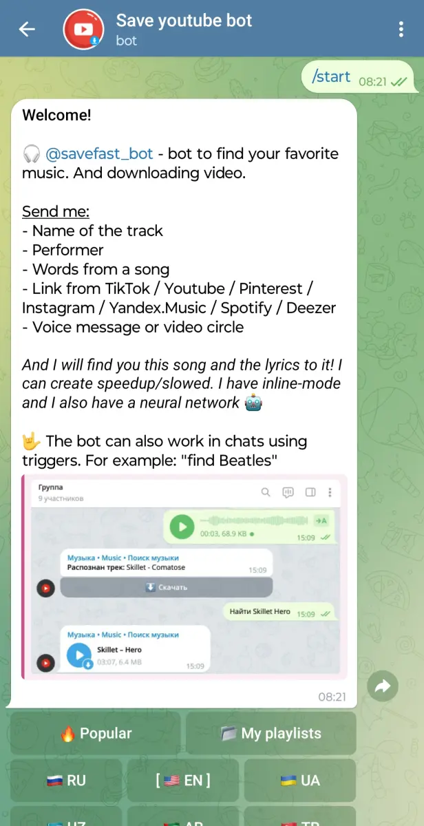 Save YouTube Bot preview 1