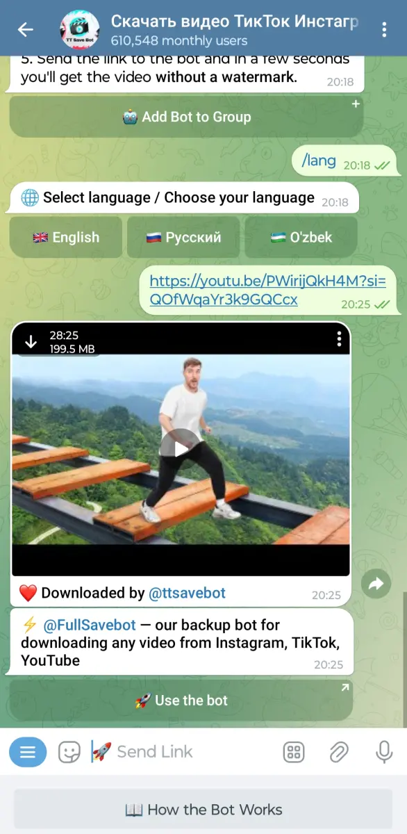 Download TikTok and Instagram videos preview 2