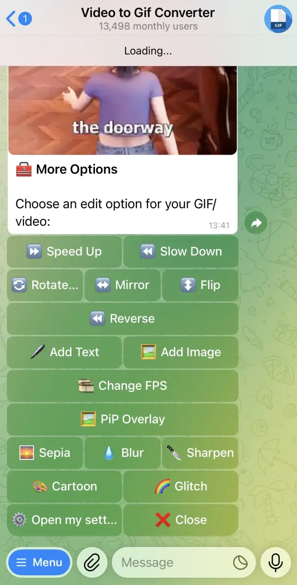 Video to GIF converter preview 2